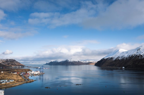 让厨房更省心，美国阿拉斯加海产解锁夏日好滋味”