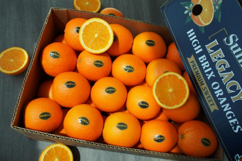 一口清甜，不负春光：当新奇士超甜橙邂逅浪漫樱花”